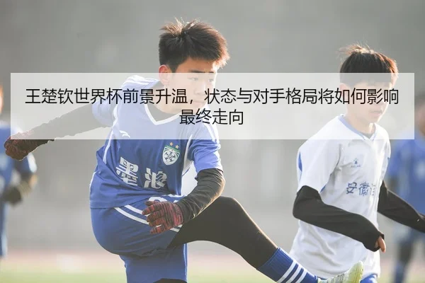 王楚钦世界杯前景升温，状态与对手格局将如何影响最终走向
